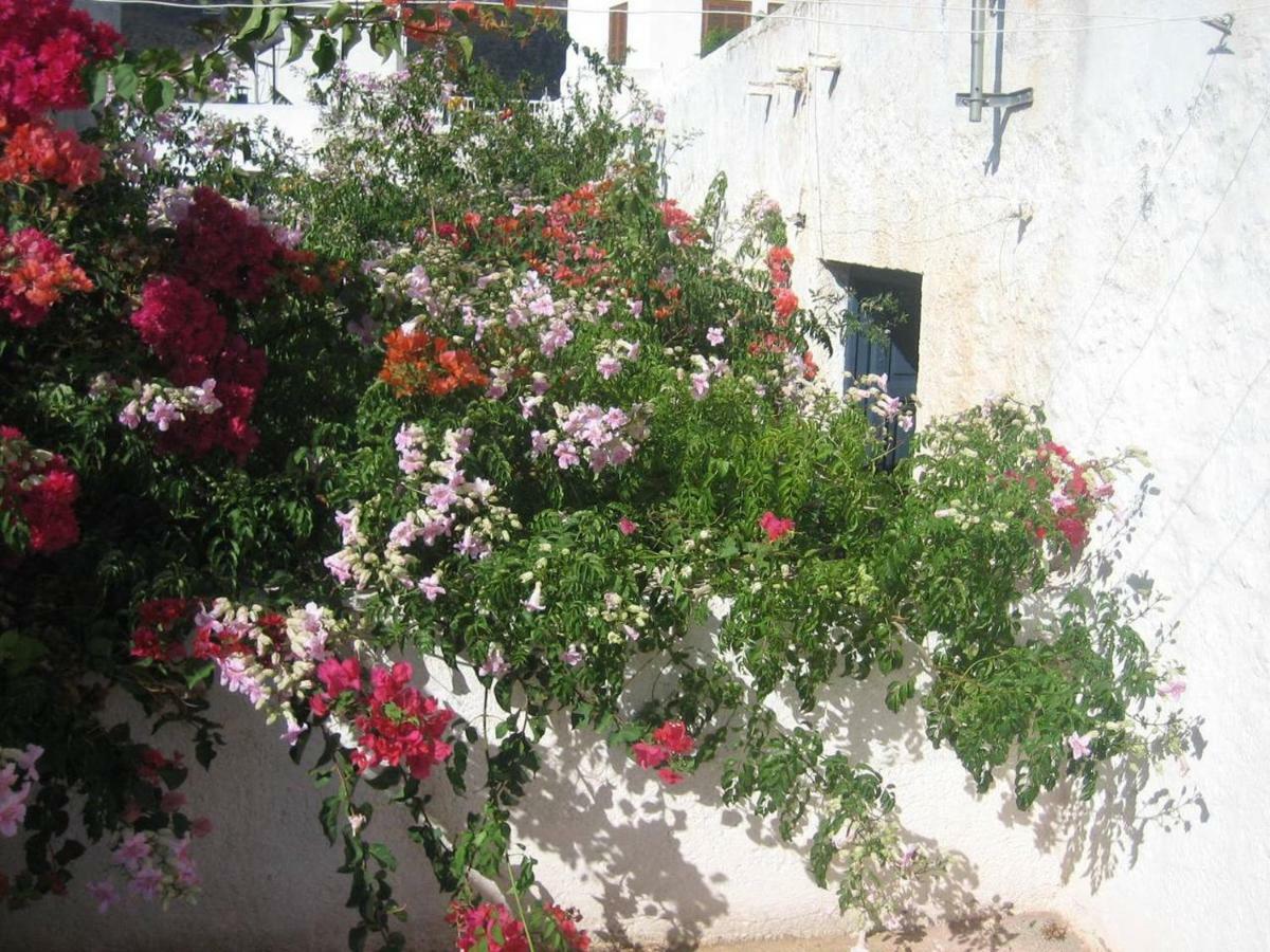 Casa De La Buganvilla Rodalquilar Zewnętrze zdjęcie